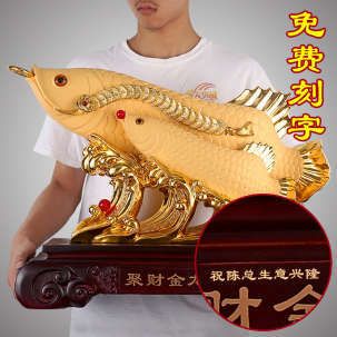 金龍魚陳總：關(guān)于金龍魚陳總的信息搜索結(jié)果中并未提供具體信息 龍魚百科 第1張