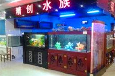 祥龍魚場d水族館加盟：昆明祥龍魚場加盟