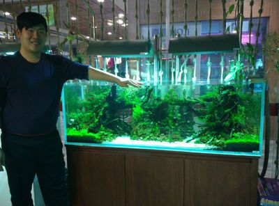 祥龍魚場d水族館加盟：昆明祥龍魚場加盟