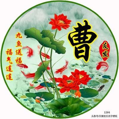 龍魚做微信頭像好嗎：龍魚為什么被稱為微信頭像？