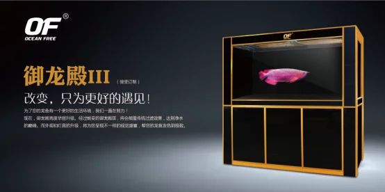 龍魚燈哪個品牌好貼吧：龍魚燈哪個品牌好 龍魚百科 第2張