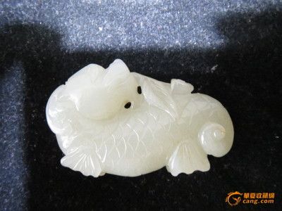 白玉龍魚特點(diǎn)：白玉龍魚的特點(diǎn)