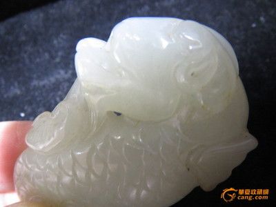 白玉龍魚特點(diǎn)：白玉龍魚的特點(diǎn)