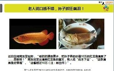 龍魚可以買保險(xiǎn)嗎：龍魚可以買保險(xiǎn)嗎水產(chǎn)養(yǎng)殖保險(xiǎn)可以買保險(xiǎn)嗎