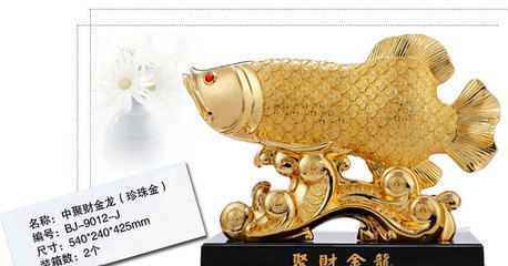 金龍魚吉祥物叫什么名字：金龍魚吉祥物叫什么名字金龍魚叫什么名字