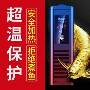 養(yǎng)龍魚夏天要開加溫器嗎：養(yǎng)龍魚夏天需要開加溫器嗎 龍魚百科