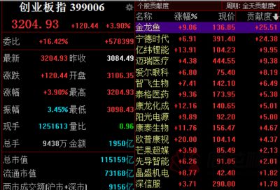 金龍魚A股上市時間：金龍魚a股上市時間 龍魚百科 第2張