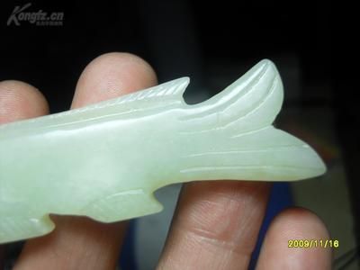 白玉龍魚特點(diǎn)介紹：2019-10-08白玉龍魚