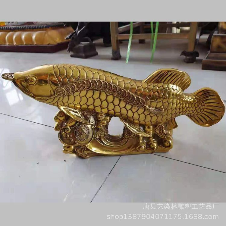 怎么讓金龍魚(yú)有金屬感覺(jué)：如何通過(guò)飼養(yǎng)方式讓金龍魚(yú)呈現(xiàn)出金屬質(zhì)感 龍魚(yú)百科 第3張