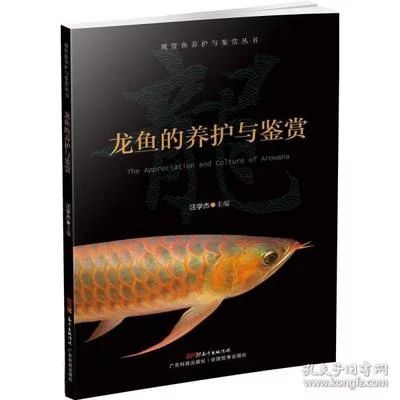 龍魚的養(yǎng)殖技術(shù)與方法圖解：龍魚的養(yǎng)殖技術(shù)與方法 龍魚百科 第1張