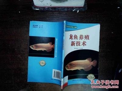 龍魚的養(yǎng)殖技術(shù)與方法圖解：龍魚的養(yǎng)殖技術(shù)與方法 龍魚百科 第2張