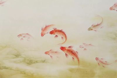 龍魚古詩：關(guān)于龍魚的古詩