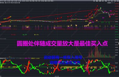 釣龍魚用什么餌料原神：《原神》游戲中釣假龍或金赤假龍應(yīng)該使用什么魚餌