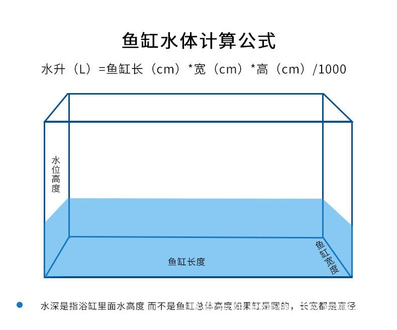 養(yǎng)龍魚的最佳水位尺寸圖解：養(yǎng)龍魚的最佳水位、魚缸尺寸圖解 龍魚百科 第2張