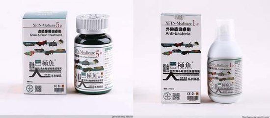 龍魚細(xì)菌性感染用什么藥效果好：如何治療龍魚細(xì)菌性感染