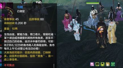 金龍魚品質等級：金龍魚品質等級詳解金龍魚品質等級及其相應的特征 龍魚百科