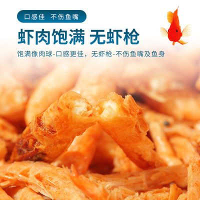 龍魚嘴上長(zhǎng)出肉球：龍魚嘴上長(zhǎng)出肉球怎么辦 龍魚百科 第3張