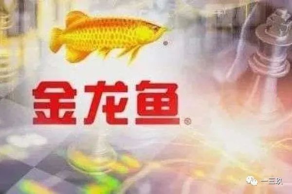 2024年金龍魚(yú)目標(biāo)價(jià)格是多少錢一條：2024年金龍魚(yú)目標(biāo)價(jià)格是多少錢一條金龍魚(yú)的價(jià)格是多少錢一條 龍魚(yú)百科 第2張