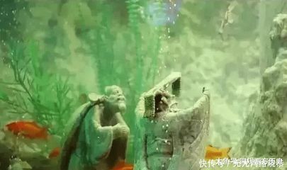 東海龍宮魚缸價(jià)格多少：東海龍宮魚缸價(jià)格遠(yuǎn)高于普通魚缸，水族箱的藝術(shù)價(jià)值 龍魚百科 第3張