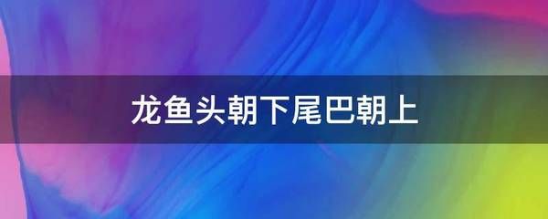 龍魚(yú)頭朝下尾巴朝上還能活嗎：龍魚(yú)頭朝下尾巴朝上怎么回事 龍魚(yú)百科 第3張