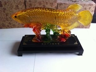 養(yǎng)金龍魚怎樣招財(cái)辟邪：養(yǎng)金龍魚