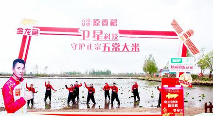 金龍魚有自己種植基地嗎：金龍魚回應(yīng)自建生態(tài)種植基地 龍魚百科 第2張