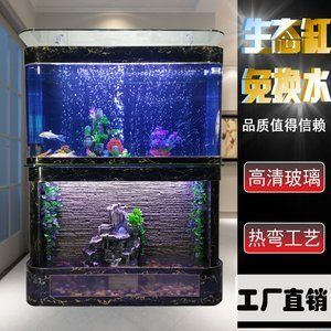 龍魚魚缸換水的正確方法：關(guān)于龍魚魚缸換水的正確方法