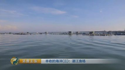 黃龍魚和什么魚一起養(yǎng)：黃龍魚可以與什么魚混養(yǎng)