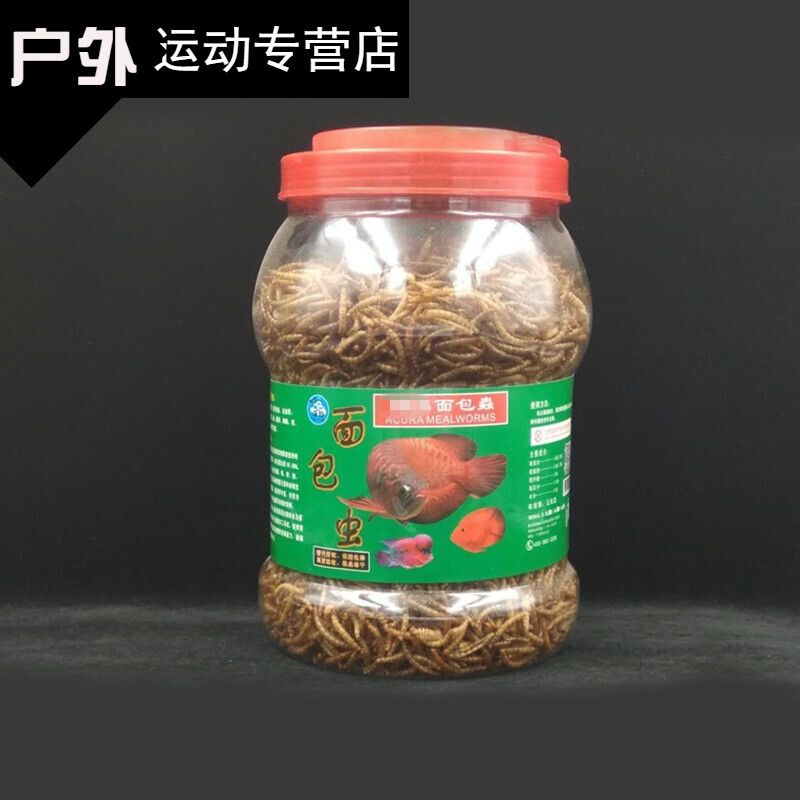 龍魚專用飼料有哪些種類的魚：常見的龍魚專用飼料種類 龍魚百科 第3張