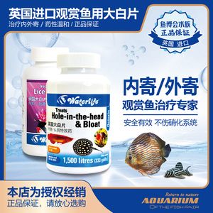 龍魚用大白片后多久換水合適：龍魚使用大白片后多久換水合適 龍魚百科 第1張