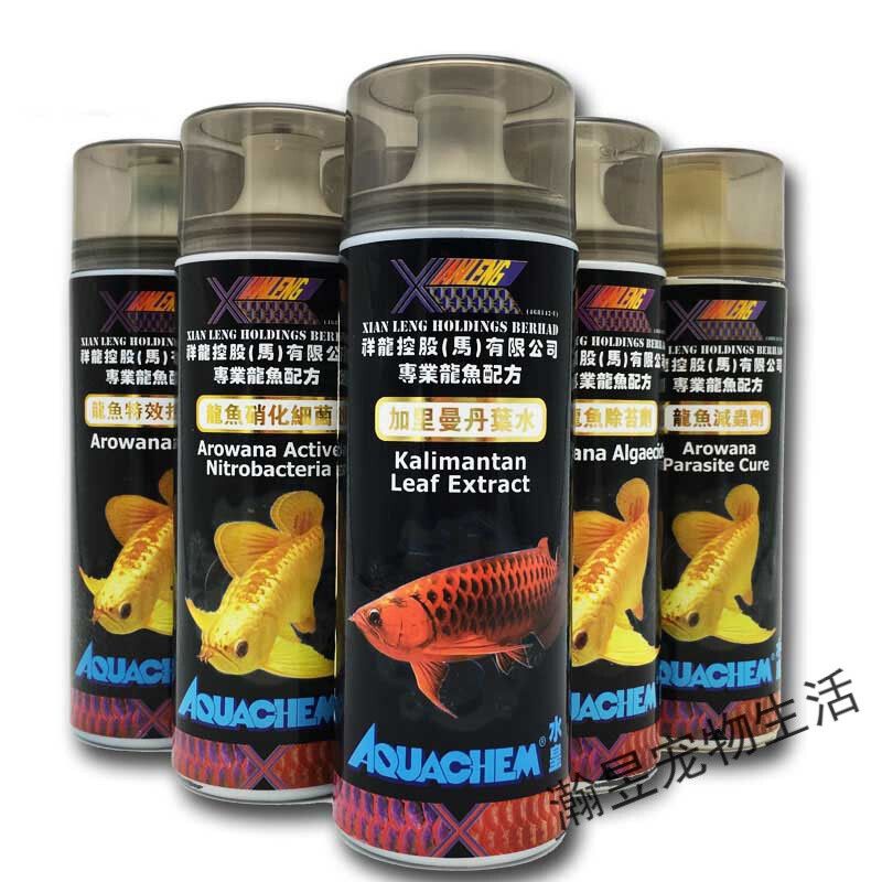 龍魚治腸炎用什么藥最好使：龍魚腸炎怎么治療