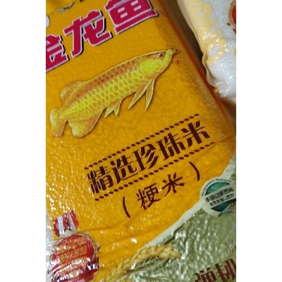 金龍魚都有魚籽嗎：不是所有的金龍魚都能產(chǎn)魚籽，而雄性金龍魚都有魚籽嗎 龍魚百科 第3張