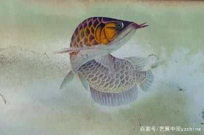 家里掛龍魚畫好嗎：家里掛龍魚畫好不好 龍魚百科 第2張