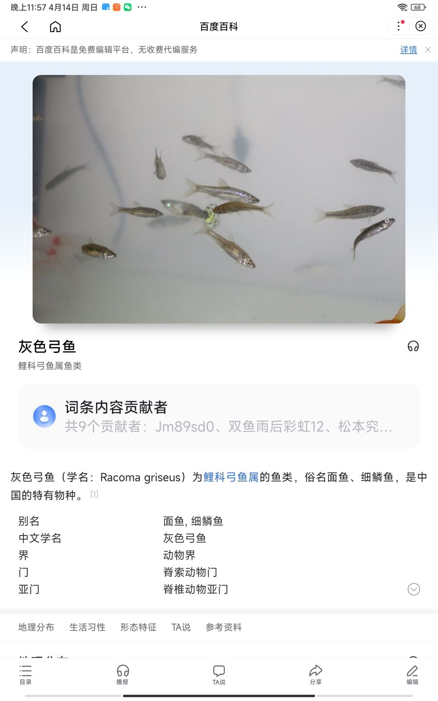 去湖里抓魚：我就去湖邊抓了一些魚，生命力很強(qiáng)，我把他們統(tǒng)一叫做小灰 觀賞魚論壇 第2張