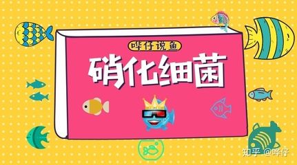 掉眼的龍魚值錢嗎知乎：掉眼的龍魚值錢嗎