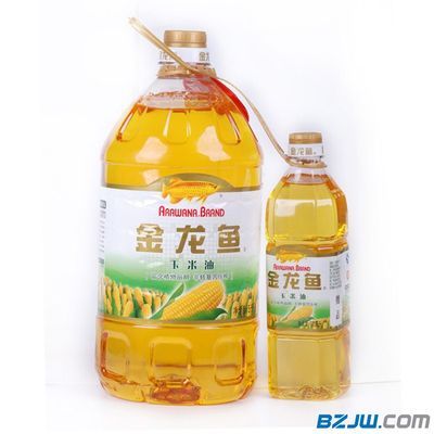 金龍魚怎么看品質(zhì)標準：判斷金龍魚的品質(zhì)和價值，金龍魚怎么看品質(zhì)和價值 龍魚百科 第1張