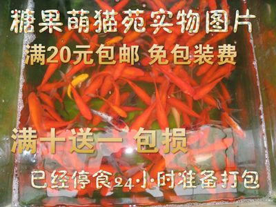 龍魚打包發(fā)貨48小時(shí)安全嗎：龍魚打包發(fā)貨安全性受到多種因素的影響