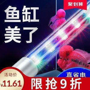 金龍魚用燈管和led哪個(gè)好一點(diǎn)：led燈在金龍魚飼養(yǎng)中的應(yīng)用