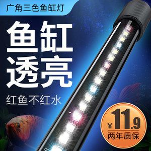 金龍魚用燈管和led哪個(gè)好一點(diǎn)：led燈在金龍魚飼養(yǎng)中的應(yīng)用