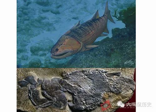 龍魚的化石：龍魚化石為我們提供了2.5億年前海洋生態(tài)系統(tǒng)的寶貴信息 龍魚百科 第2張