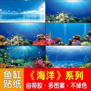 養(yǎng)紅龍魚缸用什么底色和背景顏色好看：養(yǎng)紅龍魚時，缸底和背景顏色的選擇應該以紅色為主 龍魚百科 第2張