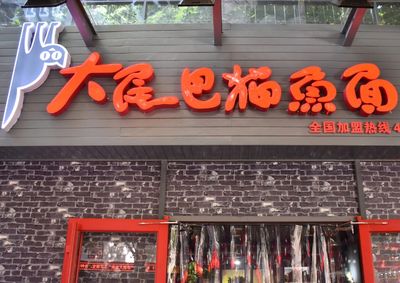 賣龍魚取一個店名好嗎女孩：賣魚店鋪取名建議：“龍魚許愿樹”和“許愿樹” 龍魚百科 第1張