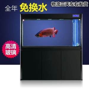 靠近魚缸龍魚就跳躍：龍魚為什么會跳出魚缸？ 龍魚百科 第3張