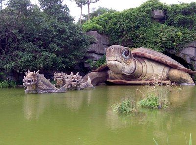 湖光巖神龜和龍魚的照片：湖光巖神龜與龍魚的照片 龍魚百科 第2張