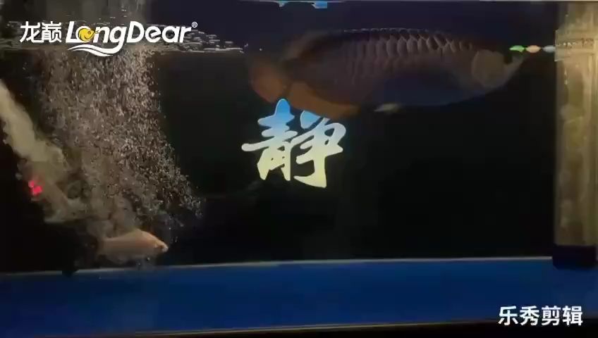 簽到：泉彼方的消失 觀賞魚論壇