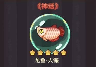 龍魚微信群：關(guān)于龍魚微信群的信息