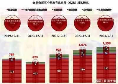 金龍魚21年二季度業(yè)績：金龍魚2021年二季度業(yè)績呈現(xiàn)環(huán)比改善趨勢 龍魚百科 第3張