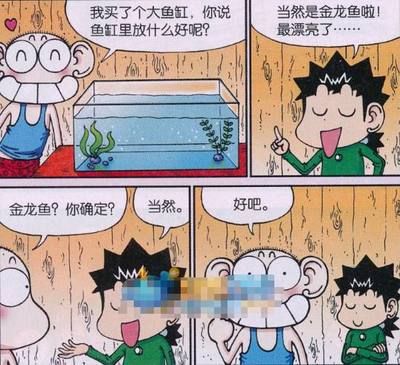 介紹金龍魚的作文三年級下冊：三年級作文《金龍魚的作文》 龍魚百科 第2張