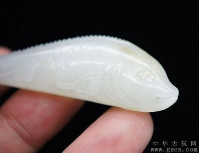 白玉金龍魚寓意：白玉金龍魚寓意和象征 龍魚百科 第2張