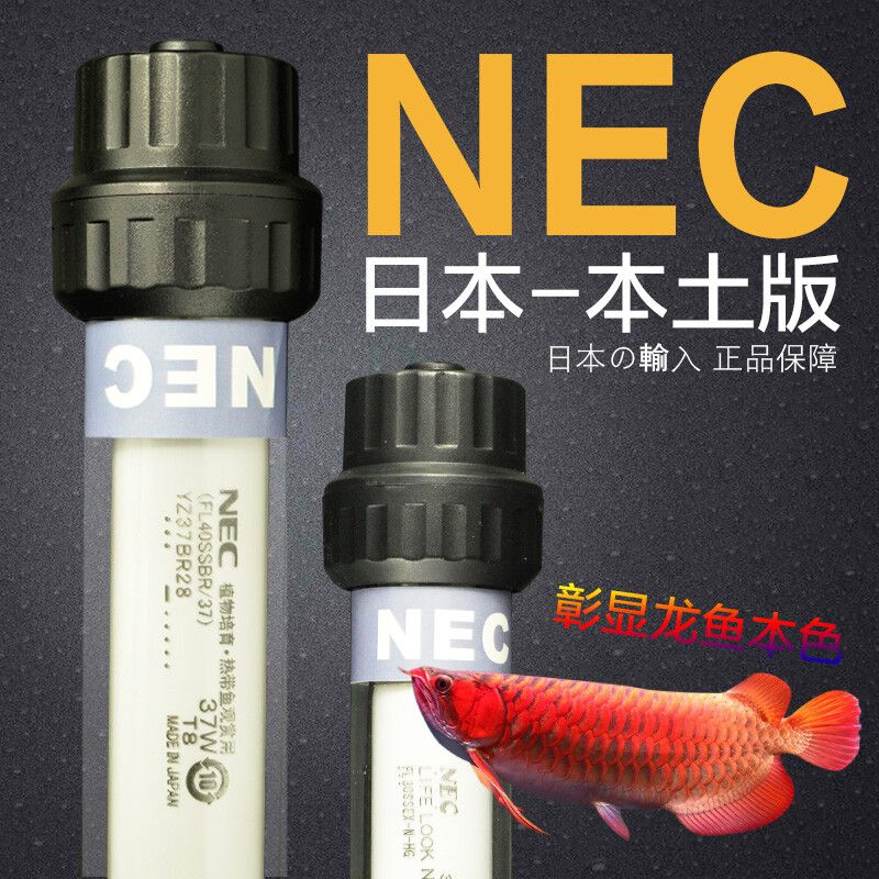 nec龍魚燈一天要開多久：nec龍魚燈一天開多久開多久開幾個小時燈